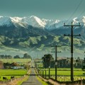 Exploring the Impact of Human Activity on New Zealand's Environment